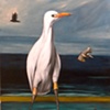 'BOCA MYSTIC' (EGRET)