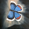 ACMON BLUE
(BUTTERFLY NEBULA)