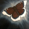MOURNING CLOAK
(BUTTERFLY NEBULA)
