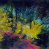 A Sun Filled Clearing