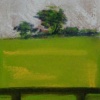 Spring Field
