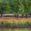 Bluemont Pond II
