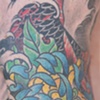 Koi detail
