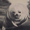 Study for Animals #1