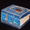 Monarch Butterfly Wing - Wooden Book