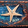 Starfish Wooden Book
Detail