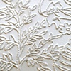Leaf and its pattern