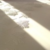 Wallpaper Pinhole Project - progress
