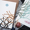 Finding winter, drawing spring card set