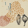 hope SEEDS