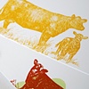 Moo Pack, set of letterpress cards