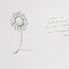 Inspired : 1