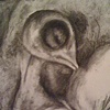 Embryo