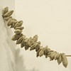 Abacus - detail