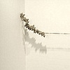 Abacus