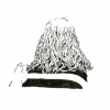Back of Woman's Head, Chicago
