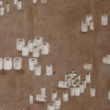 Toilet Paper Landscape, v.1