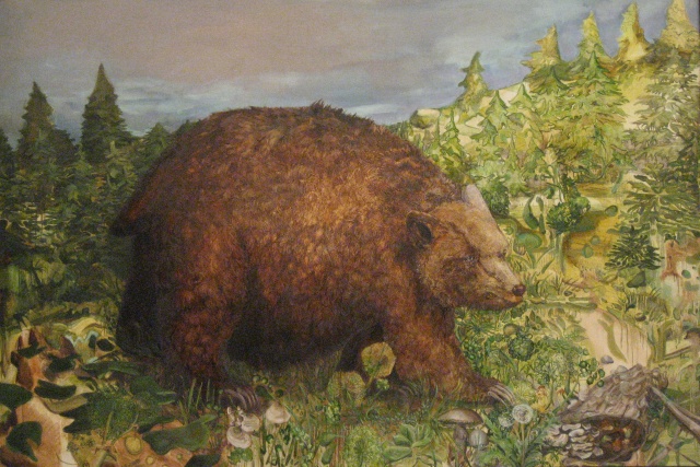 Bear