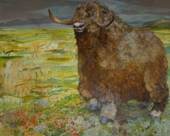 Musk Ox