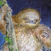 Baby Three Toed  (After a Magazine)