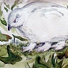 Four Foot Bird