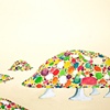 Drawings