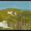 Meadow