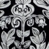 Curtain Study
