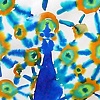 Turquoise Peacock
