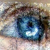 Creations