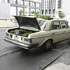 Lettuce Lane