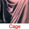 The Glass cage