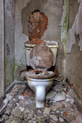 Toilet Study 316