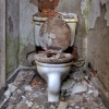 Toilet Study 316