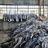 Shirt Farm - 3