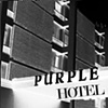 The Purple Hotel