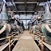 Engine Canyon