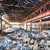 Shirt Farm - 2