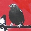 A Little Birdie Told Me