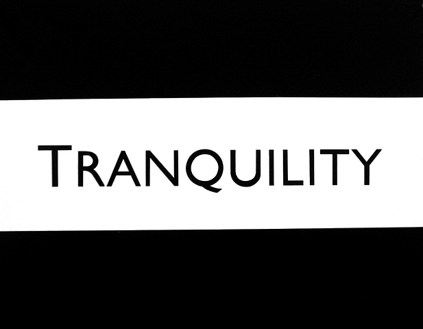 Wordmark