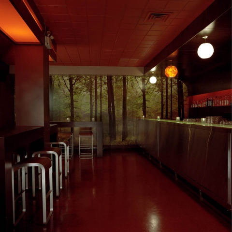 Bar and Mural