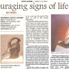 Santa Barbara NewsPress IAA Group Exhibit review 