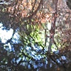 Rattlesnake Canyon