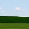 Grass field, Milton-Freewater, OR