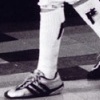 The Fencer