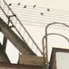 Abandoned crane on waterfront with birds