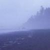 Coast at dawn