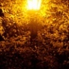 Lamppost