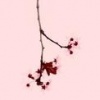 Study in Pink