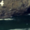 Swoop - Cape Meares, OR